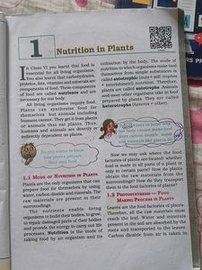 Class 7 Books