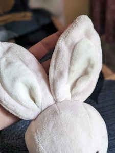 soft plushie teddy