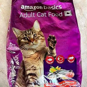 Adult Dog Food