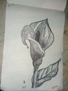 Drawing Book