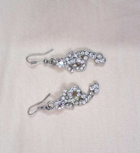 Sparkling Silver Earrings