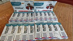 Knox Hauser Ball Pens 20 pcs bundle
