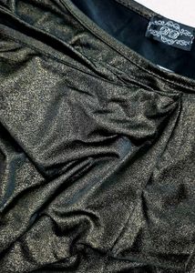 Metallic Sheer Top