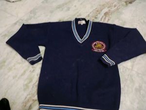 Navy Blue V-Neck Sweater