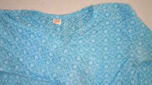 Chikankari Blue Embroidered