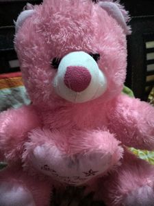 Pink Teddy Bear