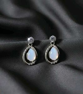 Elegant Teardrop Earrings