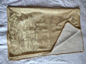 Organza Kurta Set