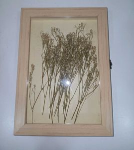 Frame or Shadowbox