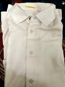 FINAL PRICE - NEW RARE RABBIT Printed Shirt