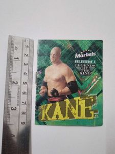 Marbels WWE Album No 1