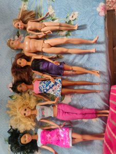 6 oll Bundle