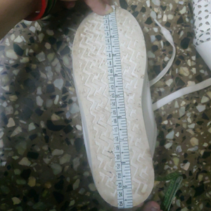 shoe