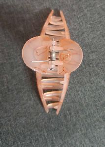 Pretty Hair clip