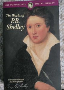 Shelley: Critical Essays &amp; Works