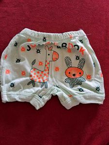 cute Bear Print 5 Shorts