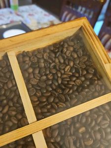 Coffee Bean TRAY