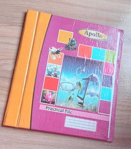 Vintage School Folders - 2 Included!