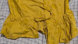 Yellow Jacket
