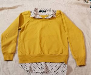 Korean sweater with fake collar