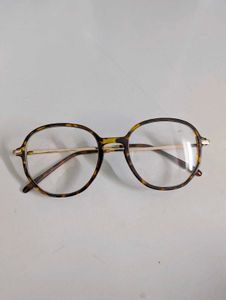 Animal Print Glasses
