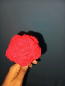 Beautiful Red Rose 🌹