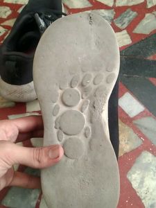 campus sports shoes