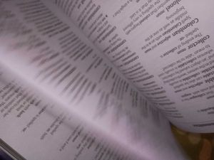 Oxford English language reference + dictionary
