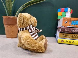 JEJU Mini Teddy Bear