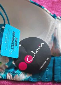 Clovia Bra Size 36E