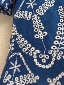 Chikankari Blue Embroidered Top