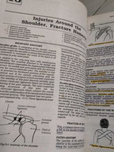 Essential Orthopaedics