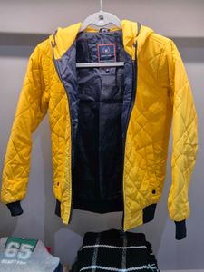 Monte Carlo Yellow Jacket (10year-13year)