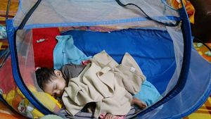 Baby Mosquito Net