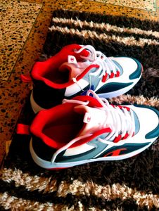 Champion Shoe Sneakers 👟