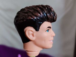 Ken Doll Heads