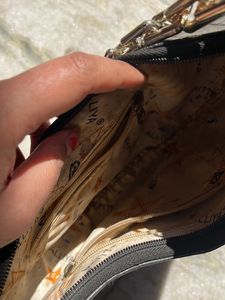 Beautiful Bag With Lil Stain Inside