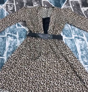 Leopard Print Mini Dress