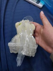 Bride Teddy