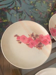 4 PCS PLATES