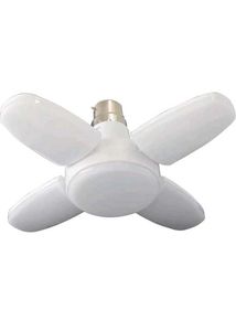 Colorful LED Ceiling Light
