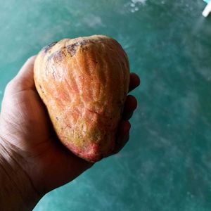 Raamphal Fruit Seeds (50nos)
