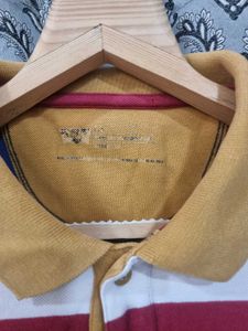 Levis Striped Polo Shirt