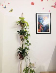 3 Tiers Plant Holder