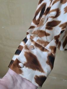 Zara Cheetah Print Shirt