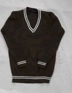 Dark Green V-Neck Sweater