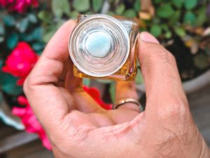 Hermes Le Jardin de Monsieur Li