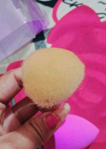 Make-up Brush And Beauty Blender