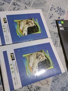 Selling Shiva Impressions A4 Size Register