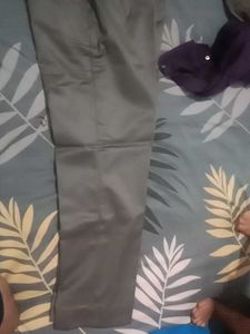 Grey Formal Pants